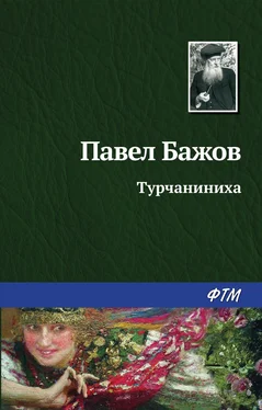 Павел Бажов Турчаниниха обложка книги