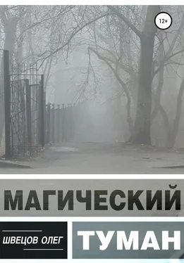 Олег Швецов Магический туман обложка книги