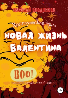 Николай Ободников Новая жизнь Валентина обложка книги