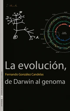 Fernando González Candelas La evolución, de Darwin al genoma обложка книги