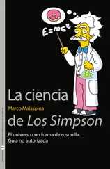 Marco Malaspina - La ciencia de Los Simpson