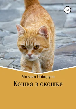 Михаил Поборуев Кошка в окошке обложка книги