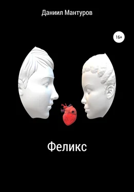 Даниил Мантуров Феликс обложка книги