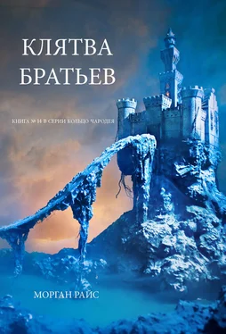 Морган Райс Клятва братьев обложка книги