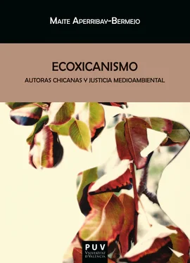 Maite Aperribay-Bermejo Ecoxicanismo обложка книги