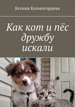 Ксения Колмогорцева Как кот и пёс дружбу искали обложка книги