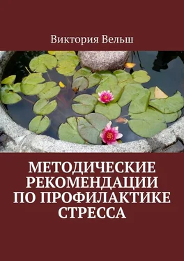 Виктория Вельш Методические рекомендации по профилактике стресса обложка книги