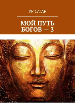 Ур Сагар Мой путь богов – 3 обложка книги