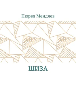 Пюрвя Мендяев Шиза обложка книги