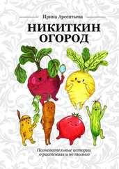 Ирина Арсентьева - Никиткин огород. Познавательные истории о растениях и не только