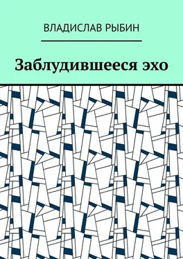 Владислав Рыбин Заблудившееся эхо обложка книги