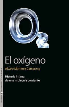 Álvaro Martínez Camarena El oxígeno обложка книги