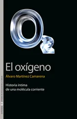 Álvaro Martínez Camarena - El oxígeno