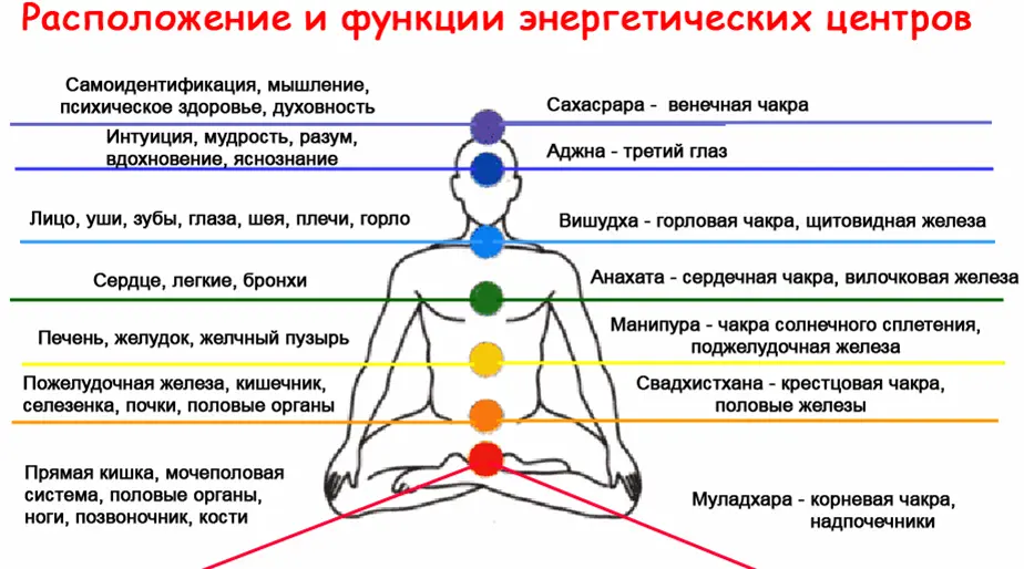 Энергетическое тело человека немного больше физического поэтому оно выступает - фото 1