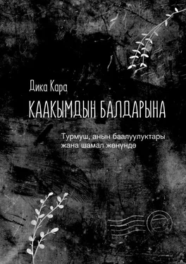 Дика Кара Каакымдын балдарына. Турмуш, анын баалуулуктары жана шамал жөнүндө обложка книги