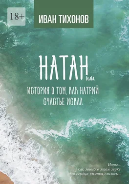 Иван Тихонов Натан, или История о том, как Натрий счастье искал обложка книги