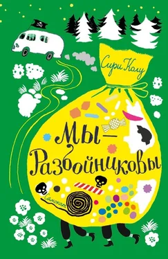 Сири Колу Мы – Разбойниковы обложка книги