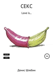 Денис Шлебин - Секс