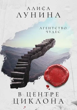 Алиса Лунина В центре циклона обложка книги