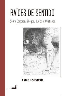 Rafael Echeverría Raíces de Sentido обложка книги