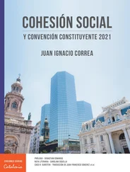 ﻿Juan Ignacio Correa Amunátegui - ﻿Cohesión social y Convención Constituyente 2021