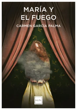 Carmen García Palma María y el fuego обложка книги