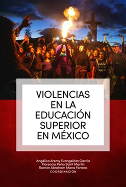 Angélica Aremy Evangelista García Violencias en la educación superior en México обложка книги