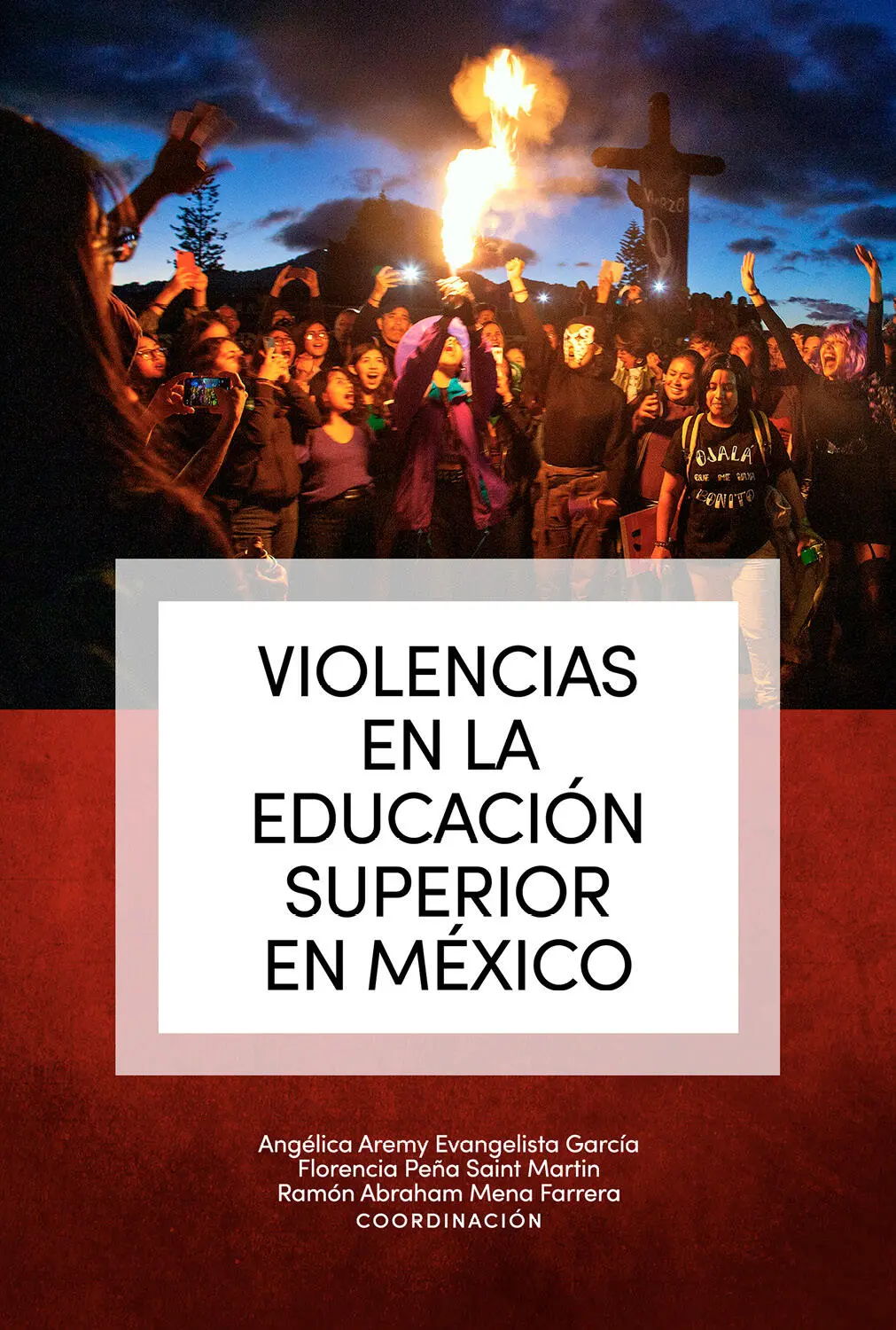 VIOLENCIAS EN LA EDUCACIÓN SUPERIOR EN MÉXICO Angélica Aremy Evangelista - фото 1