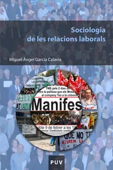 Miguel Ángel García Calvia - Sociologia de les relacions laborals