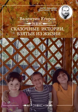 Валентин Егоров Сказочные истории, взятые из жизни (сборник) обложка книги