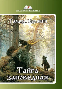 Тамара Булевич Тайга заповедная (сборник) обложка книги