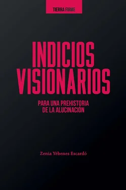 Zenia Yébenes Escardó Indicios visionarios para una prehistoria de la alucinación обложка книги