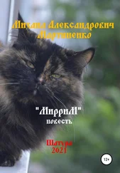 Михаил Мартыненко - МирриМ