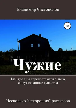 Владимир Чистополов Чужие. Сборник рассказов обложка книги