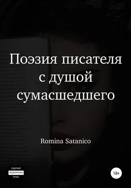 Romina Satanico Поэзия писателя с душой сумасшедшего обложка книги