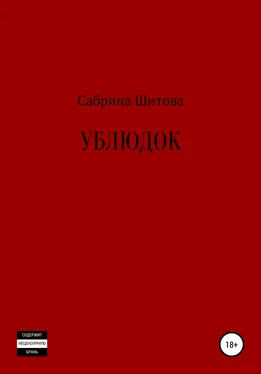Сабрина Шитова Ублюдок обложка книги