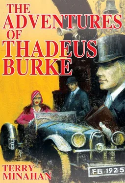 Terry Minahan The Adventures of Thadeus Burke Vol 1 обложка книги