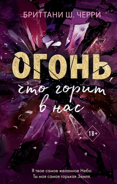 Бриттани Ш. Черри Огонь, что горит в нас обложка книги