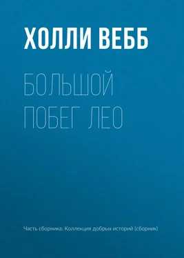 Холли Вебб Большой побег Лео обложка книги