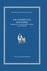 Tulio Halperin Donghi - Un conflicto nacional
