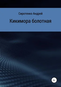 Андрей Сиротенко Кикимора болотная обложка книги