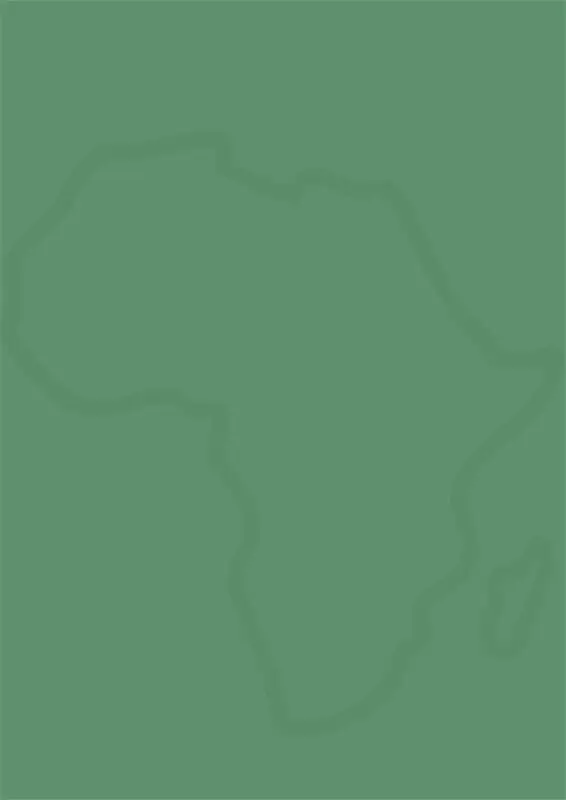 Défis et possibilités pour lAfrique LAfrique compte plus dun milliard - фото 2
