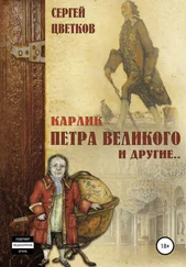 Сергей Цветков - Карлик Петра Великого и другие