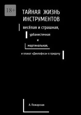 Алина Пожарская Тайная жизнь инструментов, весёлая и страшная, урбанистичная и маргинальная, и плакат «Дихлофоса» в придачу обложка книги