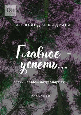 Александра Шадрина Главное – успеть… обложка книги