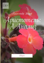 Александр Зверев - Аристотель - ААнализ. Оберег