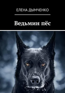 Елена Дымченко Ведьмин пёс обложка книги