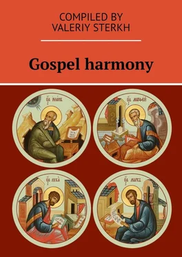 Valeriy Sterkh Gospel harmony обложка книги