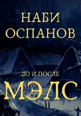 Наби Оспанов Мэлс обложка книги