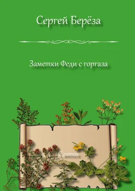 Сергей Берёза Заметки Феди с горгаза. Свиток обложка книги